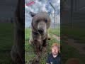 Don't Let These Animals Bite You...
