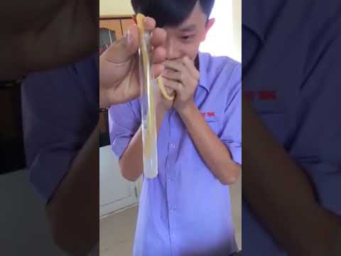 BÁ ĐẠO HỌC SINH CHỨNG MINH TÍNH CHẤT HÓA HỌC CO2- - youtube