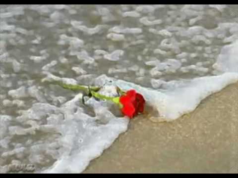 ريتك ما حبيتيني اياد الدعجه