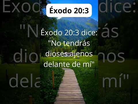 Éxodo 20:3 dice:
