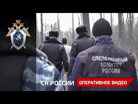 В Тамбовской области вынесен приговор по уголовному делу об убийстве школьницы