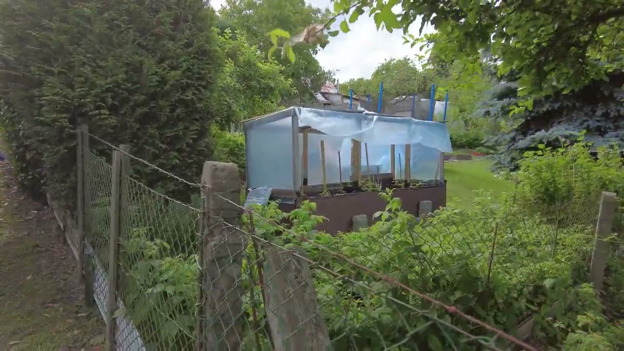 Walking in Szczecin : Allotments / Ogródki działkowe
