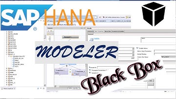 SAP HANA Modeler - Black Box