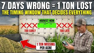 Harvest Corn Silage Just 7 Days Wrong & You Lose 1 Full Ton Per Acre-Timing That Decides Your Season