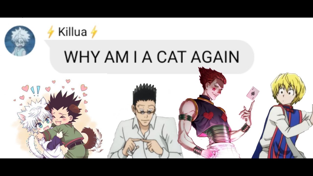 HxH Texts- Killua Turns Into a Cat Part 2!