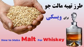 how to make malt at home - طرز تهیه مالت جو برای درست کردن ویسکی خانگی