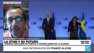 ¿Cómo ha manejado la OTAN el conflicto rusoucraniano?