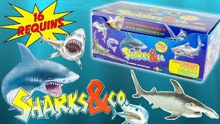 SHARKS & CO Requins Boite Complète 16 Pochettes Surprise Altaya Jouets Toy Review Juguetes Tiburon