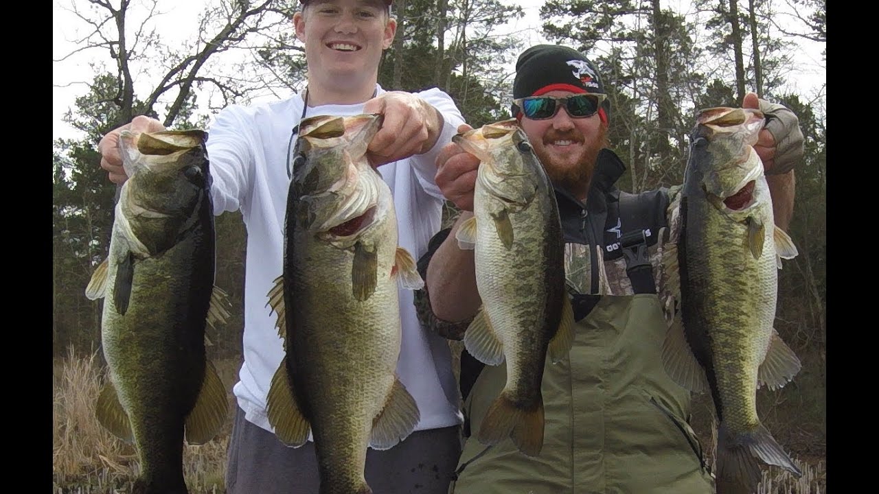How to fish lipless crankbaits on Brandy Branch - YouTube