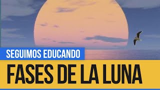 Ciencias Naturales: Fases de la luna  - Seguimos Educando