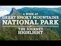 A Week at Great Smoky Mountains National Park | The Journey Highlight