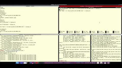 tryhackme.com dogcat walkthrough