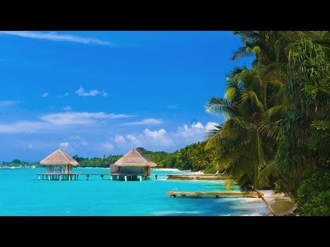 Cafe De Anatolia CHILL • 24/7 Live Radio • CHILLOUT LOUNGE | Relax World Music | Summer Vibes