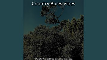 Tremendous Moods for Country Vibes