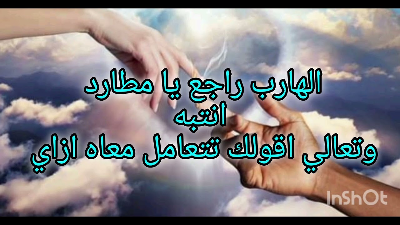 حال الهارب وراجع ليك يا مطارد انتبه 🚫 وتعالي اقولك تتعامل معاه ازاي #توأم_الشعلة