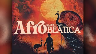[Free] Afrobeat SAMPLE Pack "AfroBeatica" (Samples + Stems) | Burna Boy, Rema, Wizkid