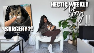 October weekly vlog - Sky needed surgery, BTS of being a content creator, new nails!