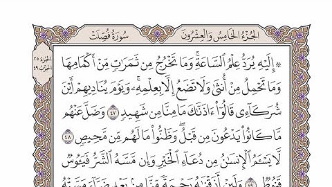 الربع الأول من الحزب ٤٩ من القرآن الكريم - الشيخ محمد أيوب رحمه الله