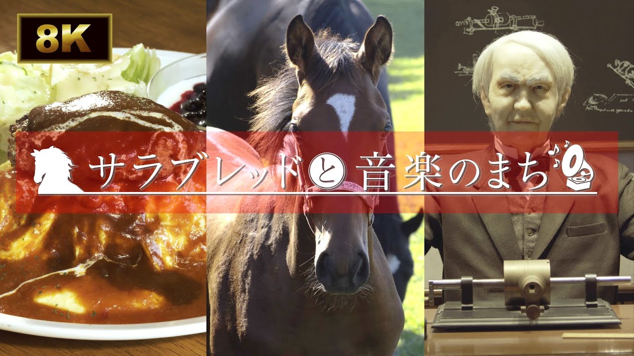 【競争馬の聖地】伝説の名馬を輩出した新冠町【8K】