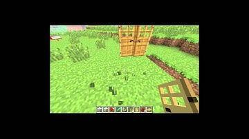 1.0.0 door bug fix (minecraft)