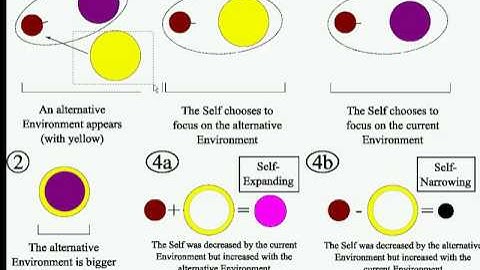 Altruism, group forming, aggression -- video-article from PSY2.ORG
