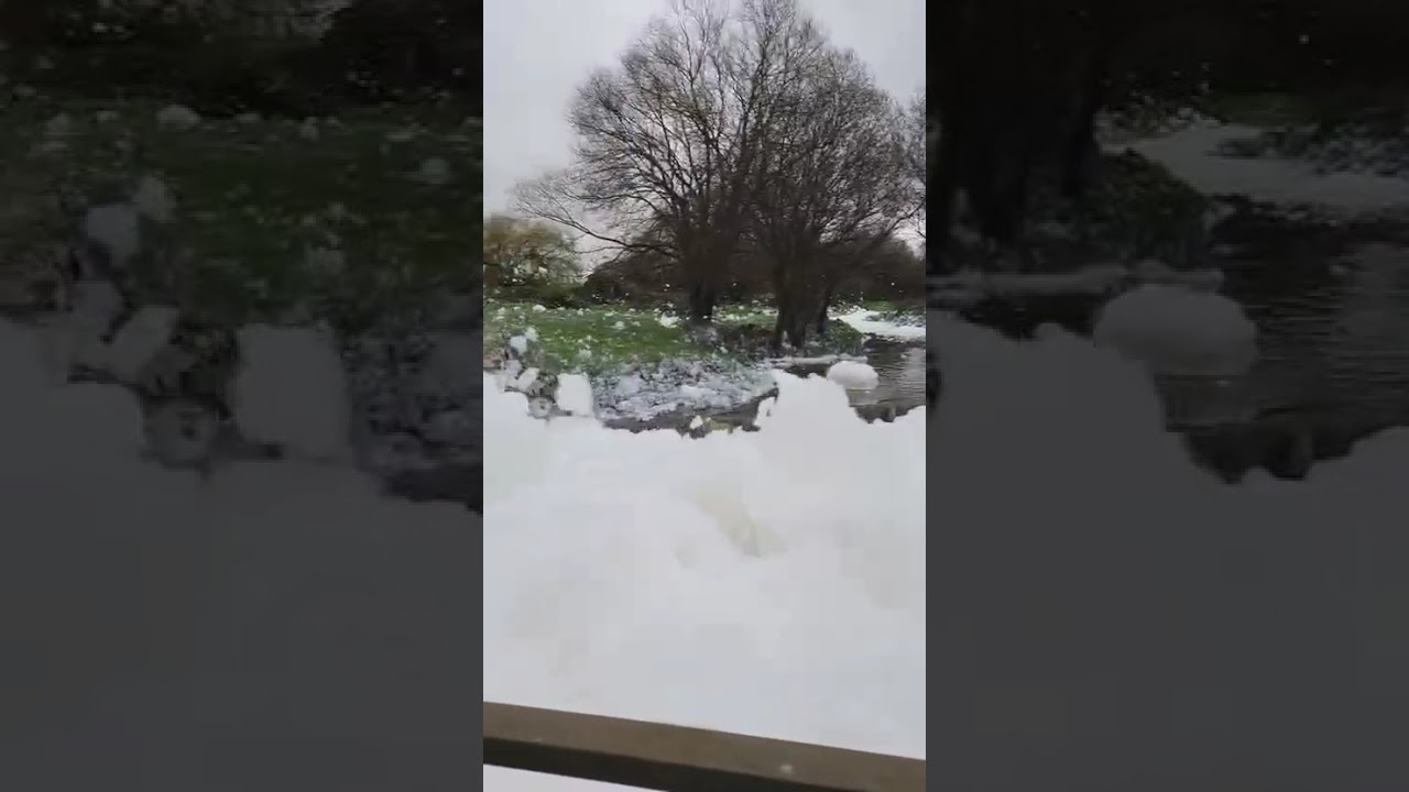 Así baja el arroyo Otero de Santa Cruz de Bezana por la fiesta de la espuma en Sancibrián