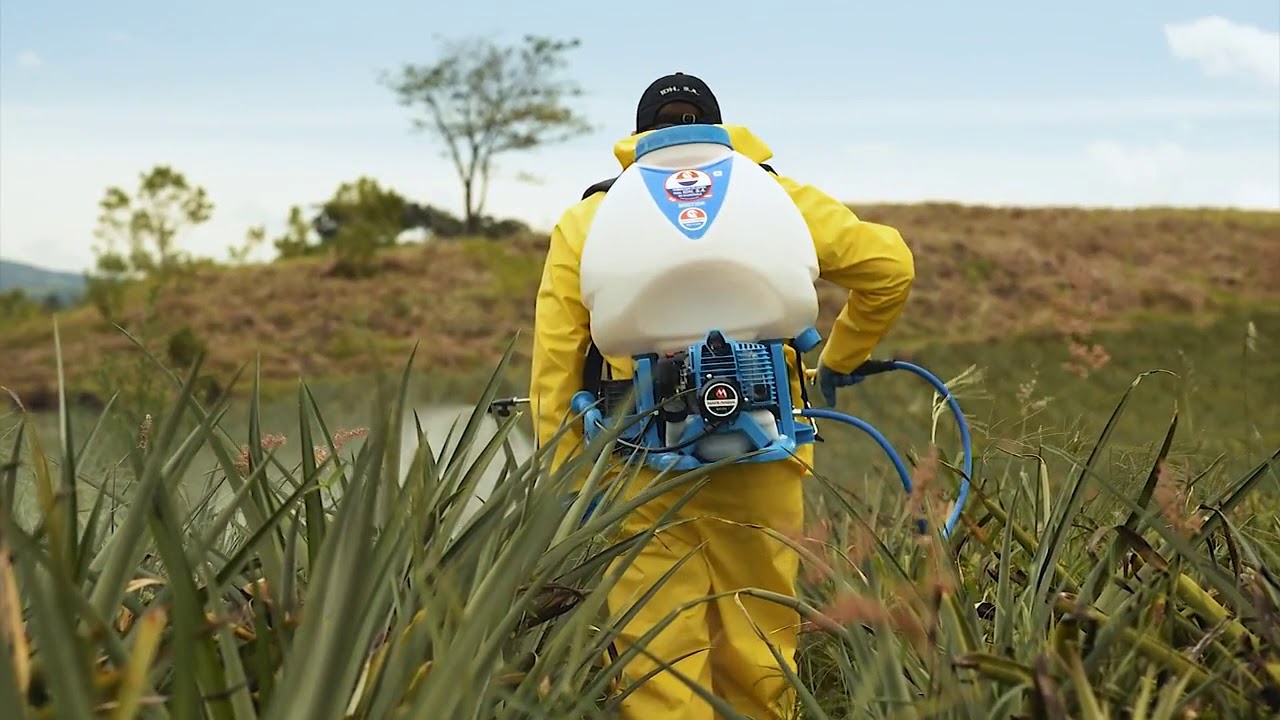 FUMIGADORAS MARUYAMA