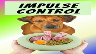 Impulse Control Game for Dogs and Puppies | Fun &amp; Easy Training Tips for Puppies