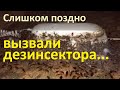 Что будет, если не уничтожить тараканов вовремя: пример из квартиры в Москве