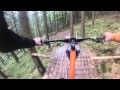 Bike park bad wildbad  freeride mountainbiking