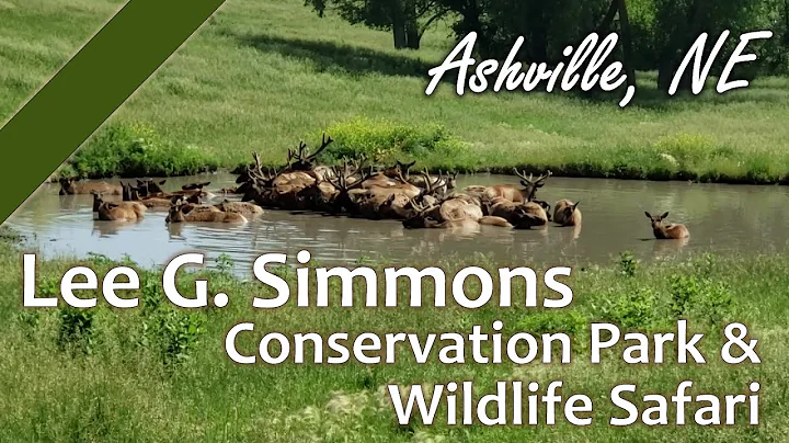 Adventure With Us As We Explore the Lee G. Simmons...