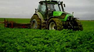 Broyage d'engrais vert dans la plaine Marnaise.