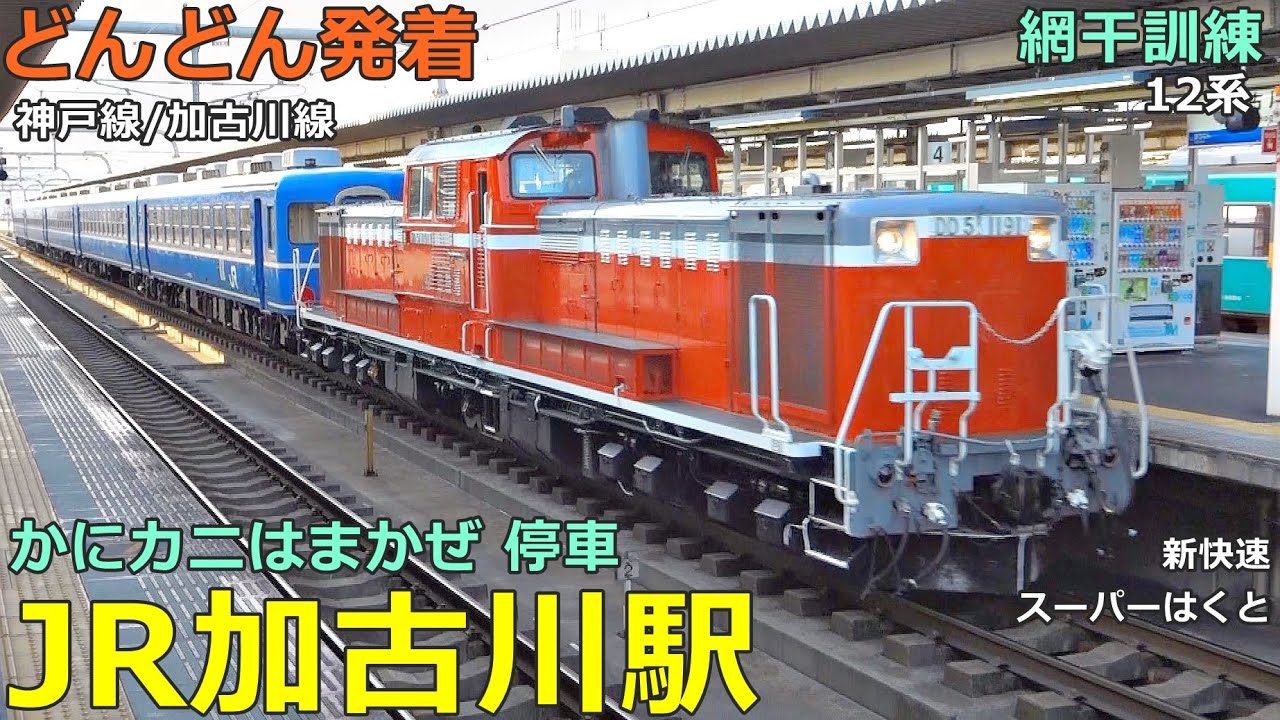 JR加古川駅 3🚃どんどん電車が発着・通過！●網干訓練12系客車、かにカニはまかぜ、はまかぜ臨時停車、新快速、スーパーはくと 等／夕方ラッシュ 神戸線・加古川線【JR西日本】
