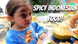 First Time Trying INDONESIAN Food! (Nasi Goreng, Sate, Nasi Campur)
