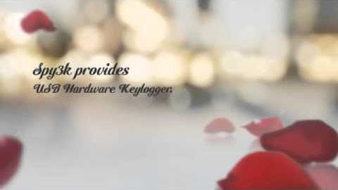USB Keylogger Hardware