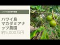 ハワイ島・マカダミアナッツ農園・売却済