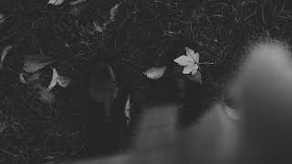 kazukii - fall