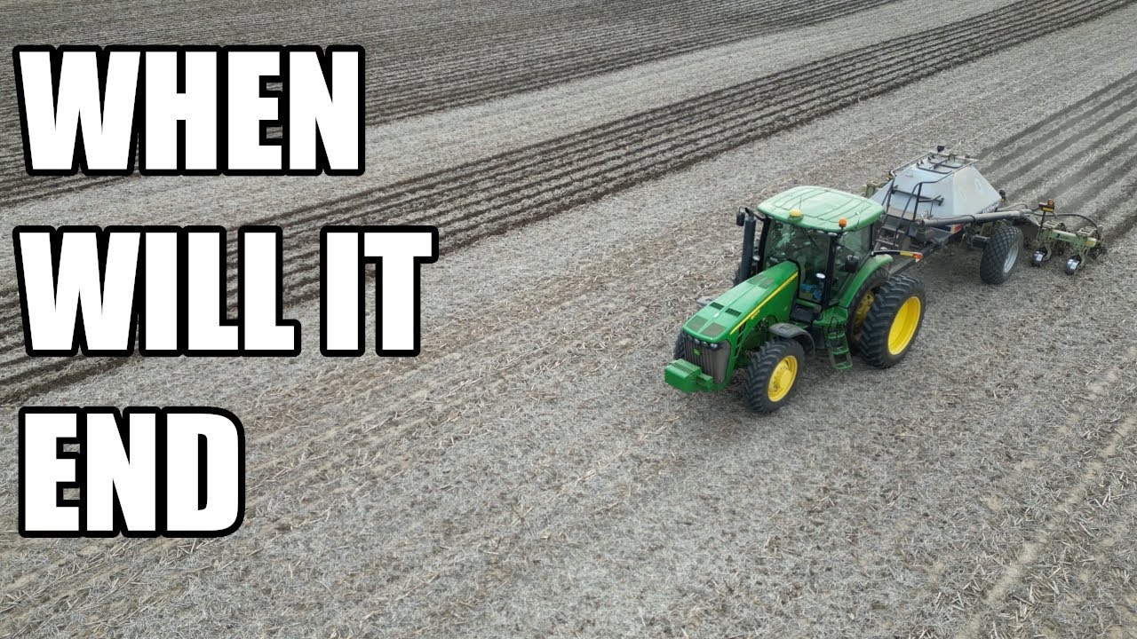 The joys of owning your very own strip till bar!