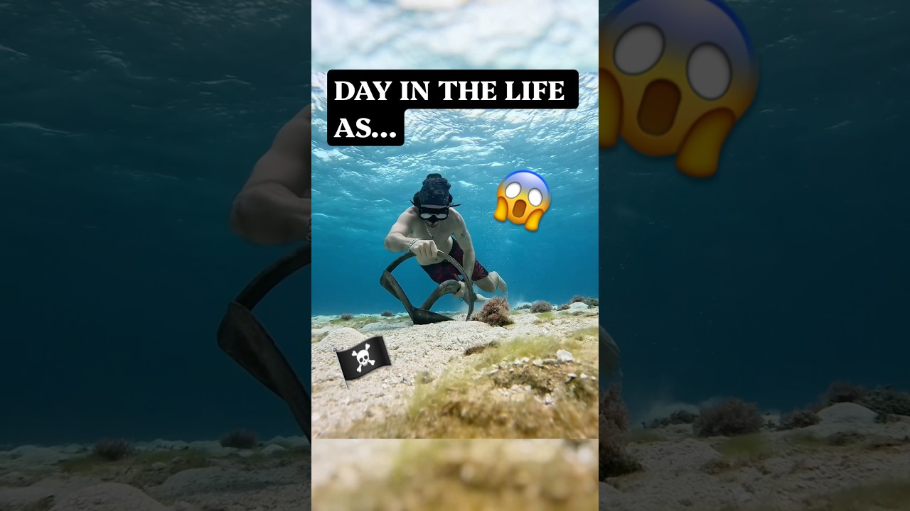 ⁣Day in the life as a pirate captain! #sailing #ocean #shipwreck #spearfishing #australia #shorts￼