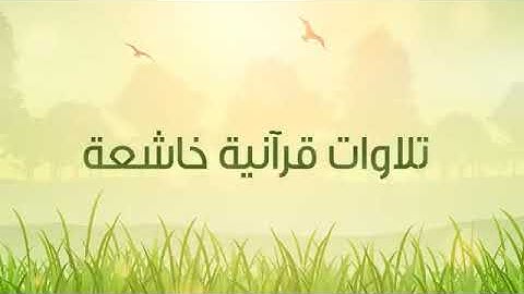 تلاوة خاشعة من أواخر سورة آل عمران للشيخ ناصر القطامي