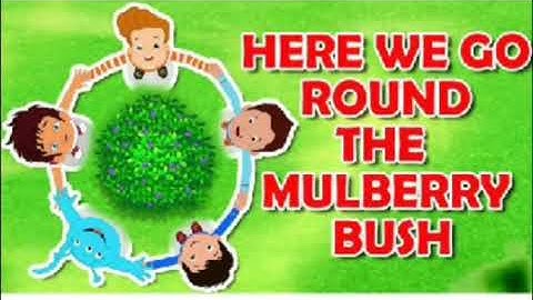 Grade Nursery Rhymes Dated 07 08 2020