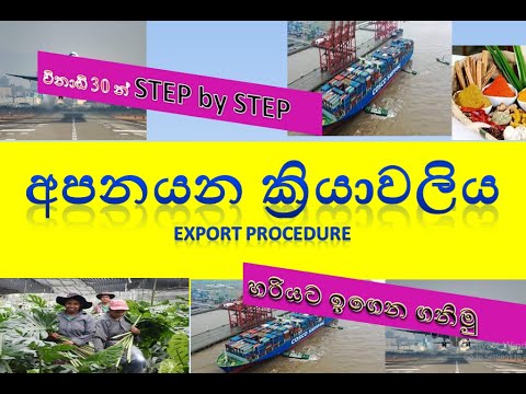 Sri Lanka Export Process Step By Step |how to start export business in Sri Lanka (step by step)