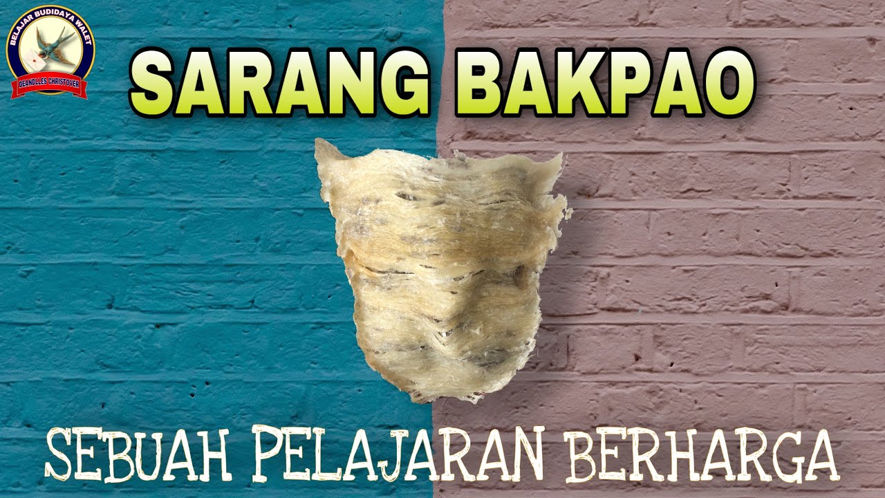 Pelajaran Berharga Dari Sarang Bakpao #SarangBakpao