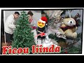 Montando nossa primeira *Árvore de Natal*🎄🤩