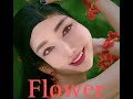 Flower jiafei remix