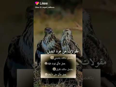 مقولات عن عزة النفس