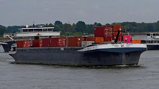 Gigant Wacht Op Gigant