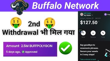 Buffalo Network 2nd Withdrawal 🤑 Successful || Buffalo Network Withdrawal || Buffalo Network probelm