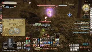 FFXIV -  Leather Treasure Map (Central Shroud  - Greentear)