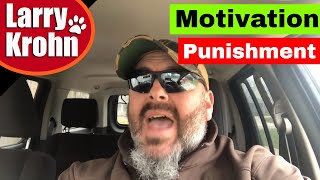 Motivation and Punishment in dog training